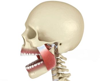 warm_smile_dental_TMJ_therapy